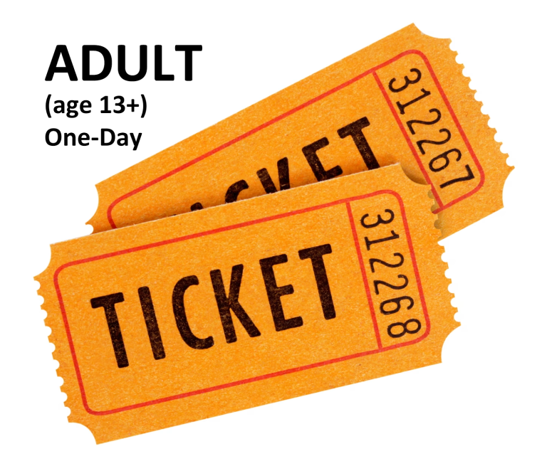 Adult One-Day Ticket (age 13+)